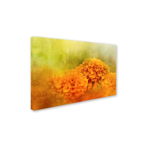 Jai Johnson 'Fresh Autumn Flowers' Canvas Art,22x32